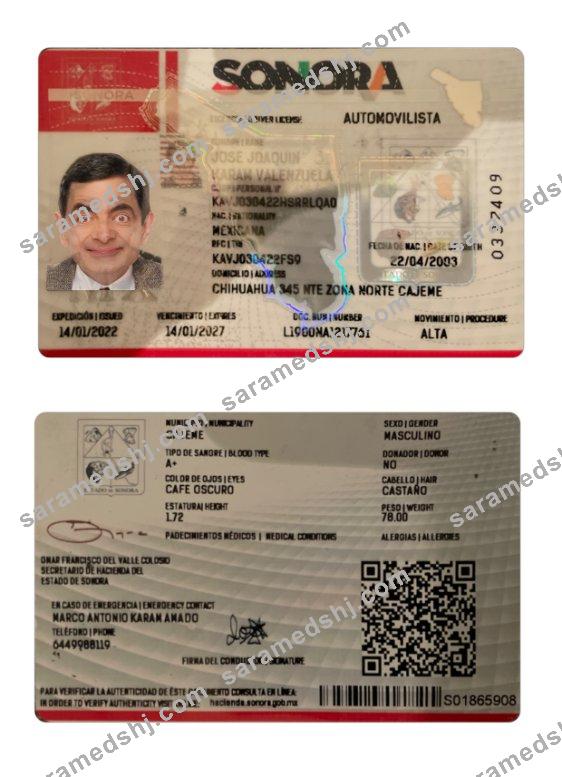 Mexico Sonora state driving license